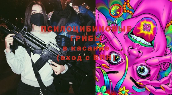 дурь Михайлов
