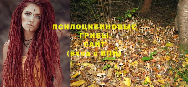 прущая мука Медвежьегорск