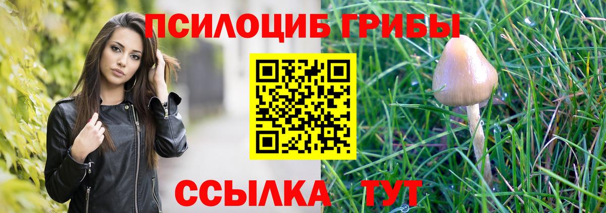 Псков  Галлюциногенные грибы Psilocybe  Вход с VPN 